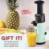 image:imageDash Deluxe Compact Cold Press Juicer  Slow Masticating Juicer Machine for Fruits and Vegetables with Frozen Attachment  Easy to Clean Juice Press for Home Countertops  AquaAqua