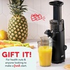 image:imageDash Deluxe Compact Cold Press Juicer  Slow Masticating Juicer Machine for Fruits and Vegetables with Frozen Attachment  Easy to Clean Juice Press for Home Countertops  AquaBlack