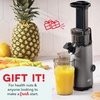 image:imageDash Deluxe Compact Cold Press Juicer  Slow Masticating Juicer Machine for Fruits and Vegetables with Frozen Attachment  Easy to Clean Juice Press for Home Countertops  AquaGraphite
