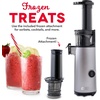 image:imageDash Deluxe Compact Cold Press Juicer  Slow Masticating Juicer Machine for Fruits and Vegetables with Frozen Attachment  Easy to Clean Juice Press for Home Countertops  AquaGraphite